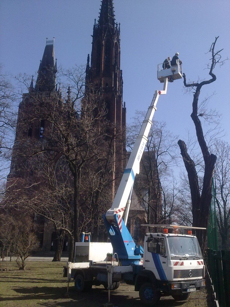 20120316517